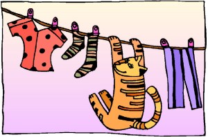 Freshly-washed is always best, say consignment & resale shops